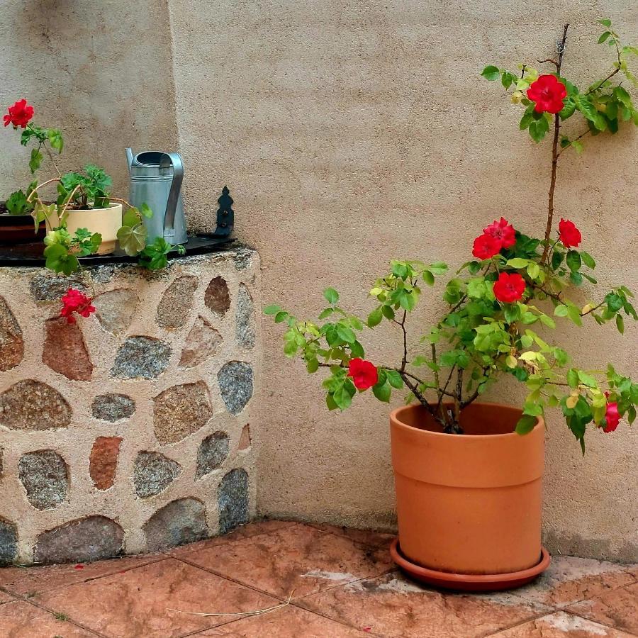 Casa Rural Abuela Reme El Fresno Kültér fotó